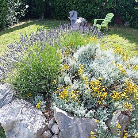 Anduze Gite Les Pins Au "Petit Clos Des Cigales" Massillargues-Attuech エクステリア 写真