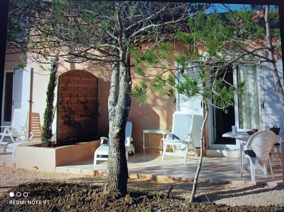 Anduze Gite Les Pins Au "Petit Clos Des Cigales" Massillargues-Attuech エクステリア 写真