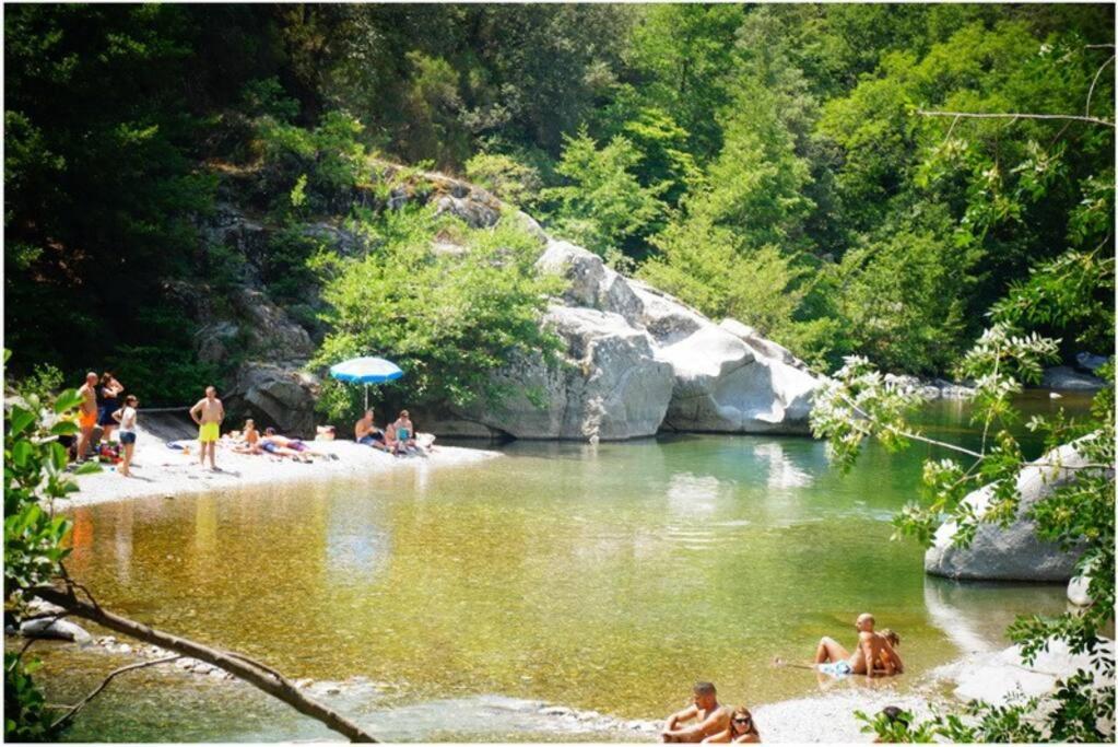 Anduze Gite Les Pins Au "Petit Clos Des Cigales" Massillargues-Attuech エクステリア 写真
