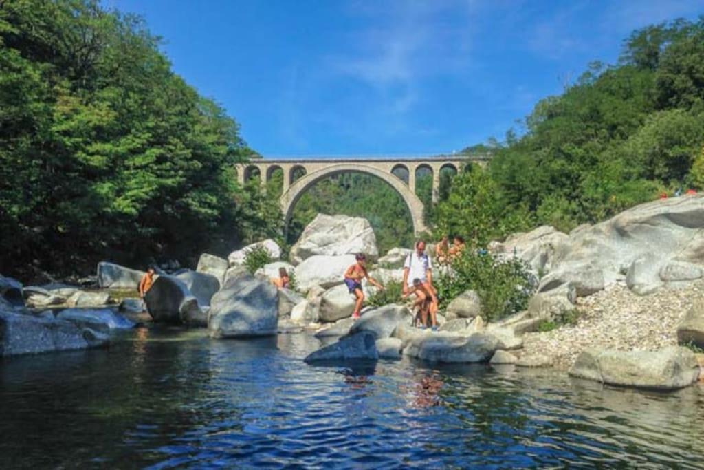 Anduze Gite Les Pins Au "Petit Clos Des Cigales" Massillargues-Attuech エクステリア 写真